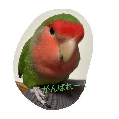 asa_20250224183010