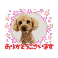 mayu_20250224233633