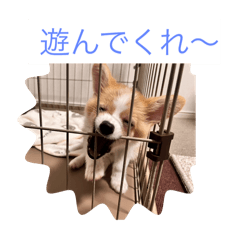 Yasu_20250224194937