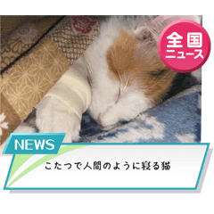 maki_20250224201628