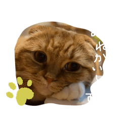 leon_20250224201109