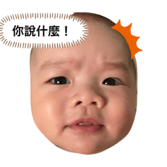 我家有一隻熊