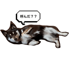 mokoka