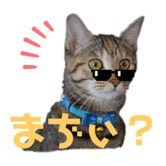 nao_20250224143346