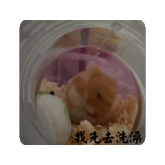 鼠生還要被迫打零工2