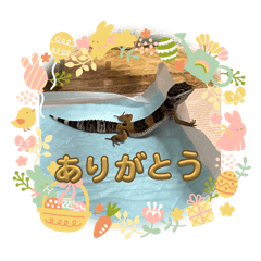 Nico_20250224182403