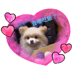 奶油博美格