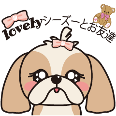 Lovely Shih Tzu Dog and Friends
