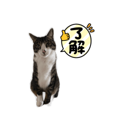 H_20250224211748