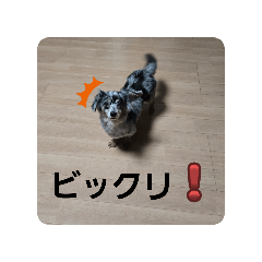masa_20250224221223
