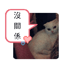 貓貓神力2