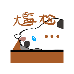 于桐家貓