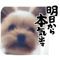 Pankorochan