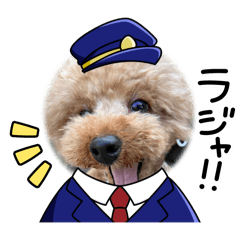 Ru_20250224214512