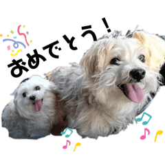3dogdogdog3