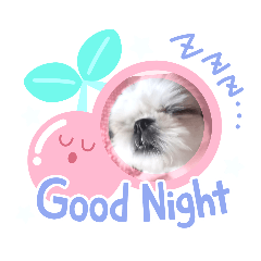 mimi_100