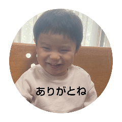 yama_20250224230513