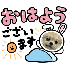 Bear_20250224232807