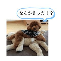 okamoto_stamp