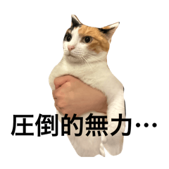 ReiNako