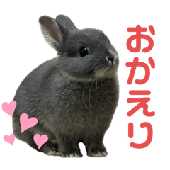 Yuzutanlife