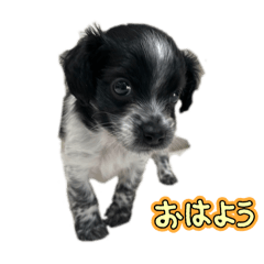 moe_20250225014037