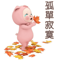 豬毛巾 日常生活篇