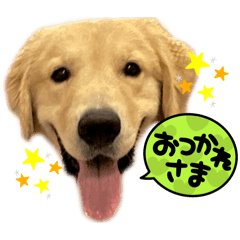 Yuki_20250225105005