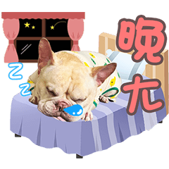法鬥胖胖日用語