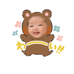 shiro_20250225112816