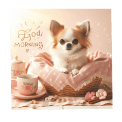 Cute dogs' morning greetings NO.1