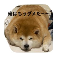 jmtmtm