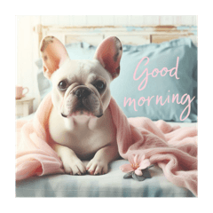 Cute dogs morning greeting  NO.2