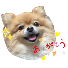 haru_20250225133024