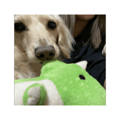 kiika_20250225110725