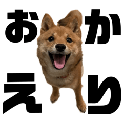 okayu_20250224233832