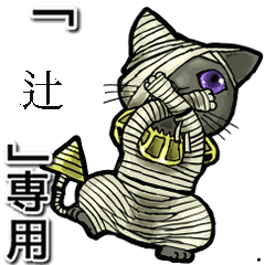 Mummycat Name Animation for  Tsuji