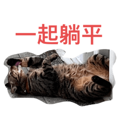 嘎嘎專屬1