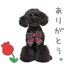 StampNo:4824