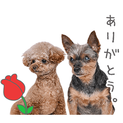StampNo:4825