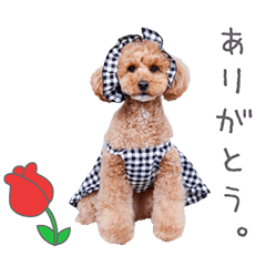 StampNo:4829