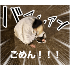 Aoi_20250224193631