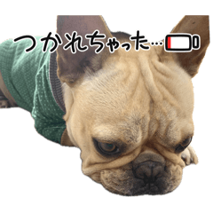 yuko_20250225142324