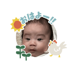 cherry_20250225143711