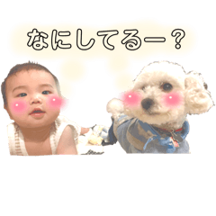 SAYURI_20250225141716