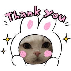 Yuki_20250225151758