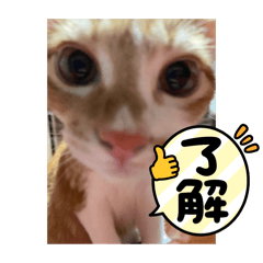 misaki_20250225151003