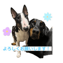 yama_20250225153841