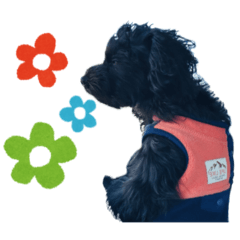 JARVIS sticker