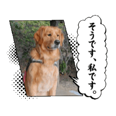 HANA_20250225140409
